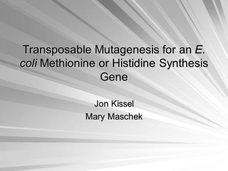 Transposable Mutagenesis for an E. coli Methionine or Histidine Synthesis Gene Jon Kissel Mary Maschek.