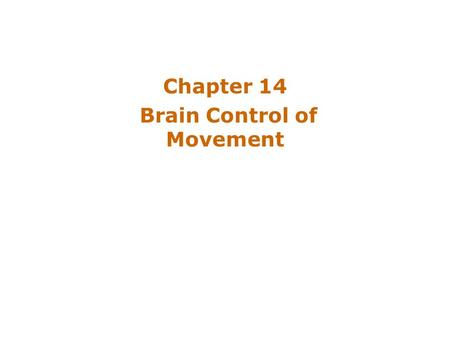 Chapter 14 Brain Control of Movement. Introduction The brain influences activity of the spinal cord –Voluntary movements Hierarchy of controls –Highest.
