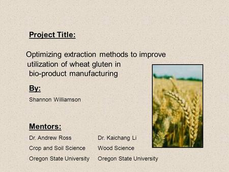 Optimizing extraction methods to improve utilization of wheat gluten in bio-product manufacturing Project Title: Mentors: Dr. Andrew RossDr. Kaichang Li.