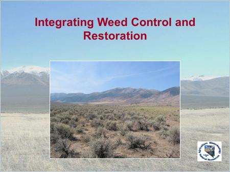 Integrating Weed Control and Restoration. The problem: Cheatgrass (Bromus tectorum) invasion in Great Basin rangelands.