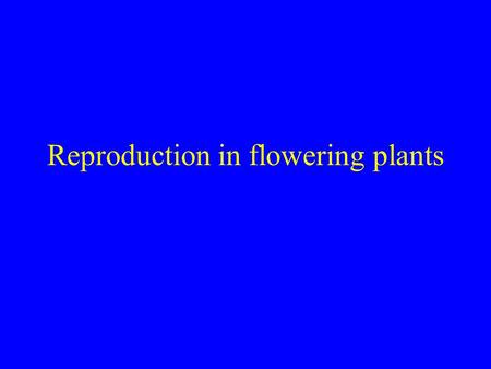 Reproduction in flowering plants
