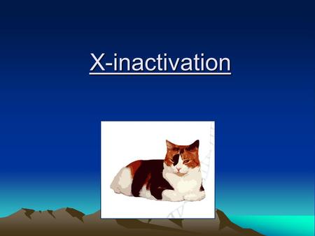 X-inactivation. Males are haploid for X-linked genes.