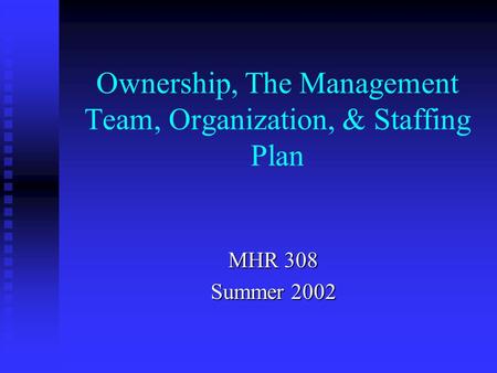 Ownership, The Management Team, Organization, & Staffing Plan MHR 308 Summer 2002.