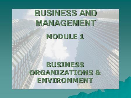 BUSINESS AND MANAGEMENT MODULE 1 BUSINESS ORGANIZATIONS & ENVIRONMENT.