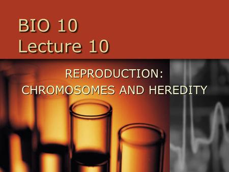 BIO 10 Lecture 10 REPRODUCTION: CHROMOSOMES AND HEREDITY.