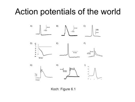 Action potentials of the world Koch: Figure 6.1. Lipid bilayer and ion channel Dayan and Abbott: Figure 5.1.