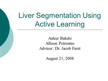 Liver Segmentation Using Active Learning Ankur Bakshi Allison Petrosino Advisor: Dr. Jacob Furst August 21, 2008.