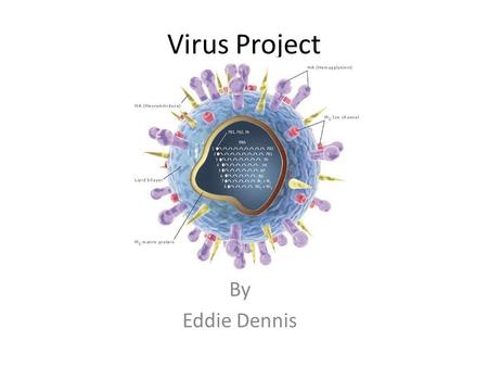 Virus Project By Eddie Dennis. Are viruses alive? I think viruses are neither living nor nonliving because they have all of the characteristics of life.