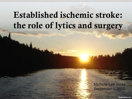 Established ischemic stroke: the role of lytics and surgery Michelle-Lee Jones September 1, 2010.