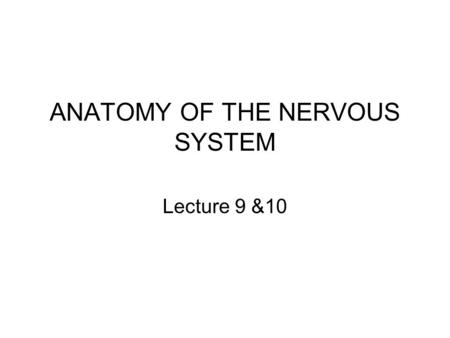 ANATOMY OF THE NERVOUS SYSTEM Lecture 9 &10. Functions of the nervous system 1. Initiate and/or regulate movement of body parts 2. Regulate secretions.