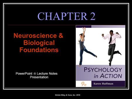 Neuroscience & Biological Foundations
