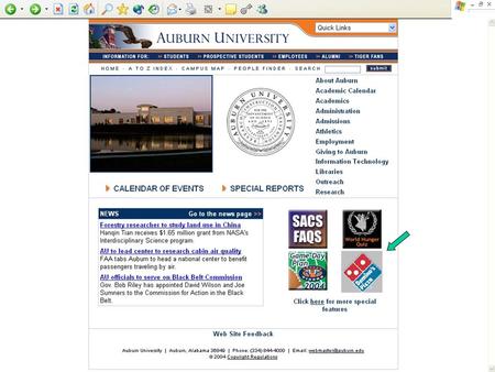 Student will be asked to log on with their Auburn ID and Pin number.