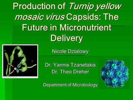 Production of Turnip yellow mosaic virus Capsids: The Future in Micronutrient Delivery Nicole Dzialowy Dr. Yannis Tzanetakis Dr. Theo Dreher Department.