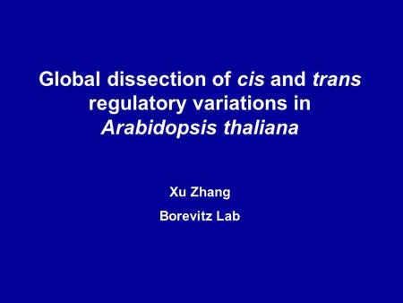 Global dissection of cis and trans regulatory variations in Arabidopsis thaliana Xu Zhang Borevitz Lab.