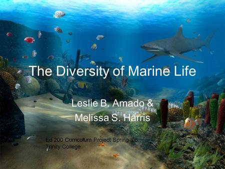 The Diversity of Marine Life Leslie B. Amado & Melissa S. Harris Ed 200 Curriculum Project Spring ‘06 Trinity College.