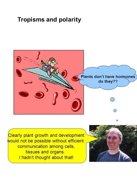Plants don’t have hormones do they?? Tropisms and polarity Clearly plant growth and development would not be possible without efficient communication among.