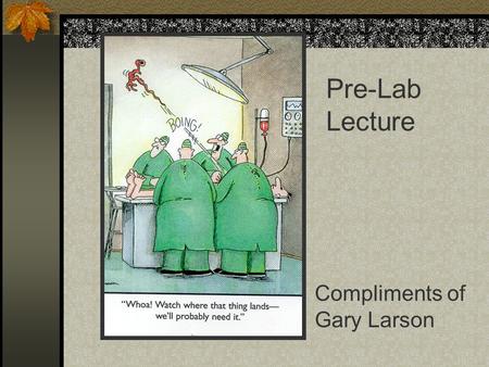 Compliments of Gary Larson Pre-Lab Lecture. Blood Vessels and Circulation Chapter 13.