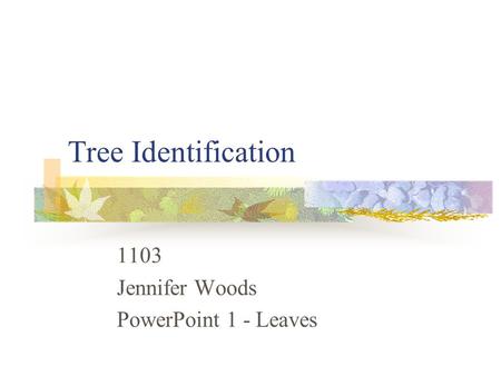 1103 Jennifer Woods PowerPoint 1 - Leaves