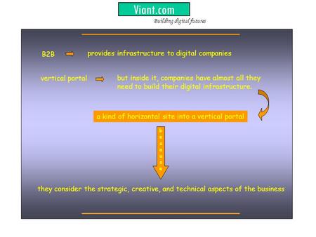 Viant.com provides infrastructure to digital companies but inside it, companies have almost all they need to build their digital infrastructure. B2B vertical.