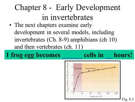Chapter 8 - Early Development in invertebrates The next chapters examine early development in several models, including invertebrates (Ch. 8-9) amphibians.