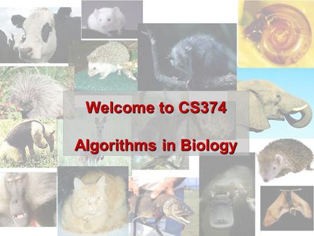 Welcome to CS374 Algorithms in Biology. Overview Administrivia Molecular Biology and Computation  DNA, proteins, cells, evolution  Some examples of.