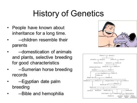 History of Genetics People have known about inheritance for a long time. --children resemble their parents --domestication of animals and plants, selective.
