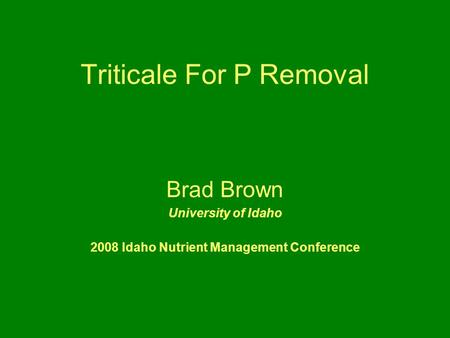 Triticale For P Removal Brad Brown University of Idaho 2008 Idaho Nutrient Management Conference.