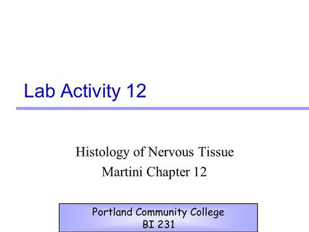 Histology of Nervous Tissue Martini Chapter 12