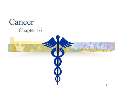 Cancer Chapter 16.