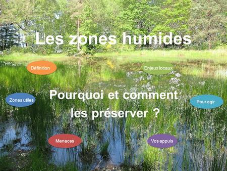 Les zones humides Pourquoi et comment les préserver ? Définition Pour agirVos appuisEnjeux locauxZones utilesMenaces.