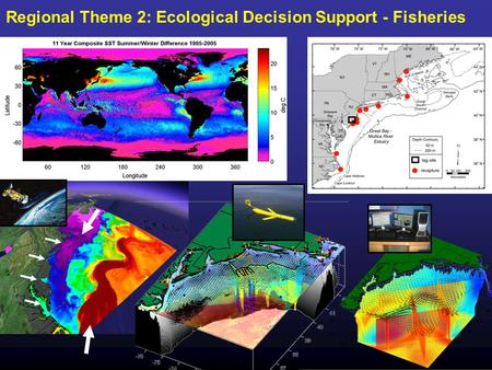 Regional Theme 2: Ecological Decision Support - Fisheries.