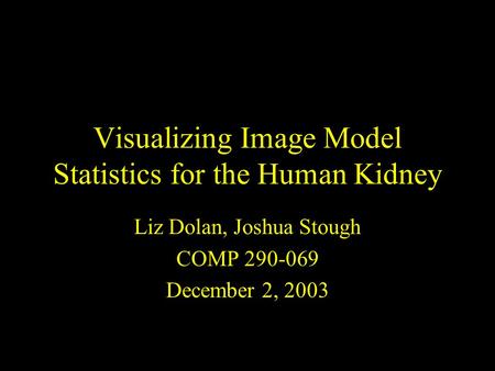 Visualizing Image Model Statistics for the Human Kidney Liz Dolan, Joshua Stough COMP 290-069 December 2, 2003.