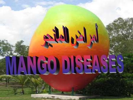 أمراض المانجو MANGO DISEASES.