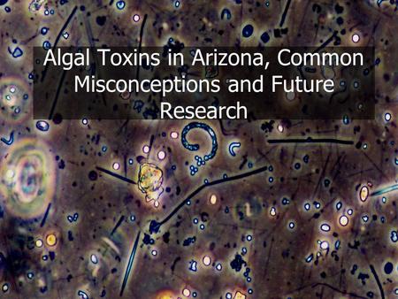 Algal Toxins in Arizona, Common Misconceptions and Future Research.