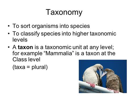 Taxonomy To sort organisms into species To classify species into higher taxonomic levels A taxon is a taxonomic unit at any level; for example “Mammalia”