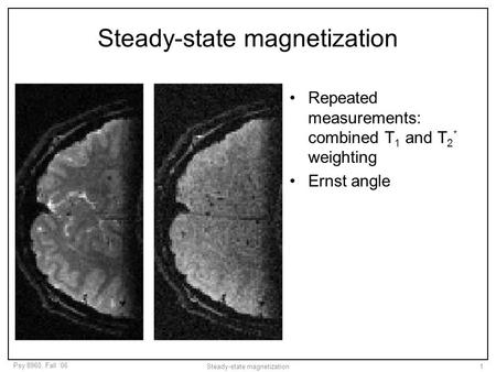 Steady-state magnetization