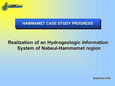 HAMMAMET CASE STUDY PROGRESS September 2004 Realization of an Hydrogeologic Information System of Nabeul-Hammamet region.