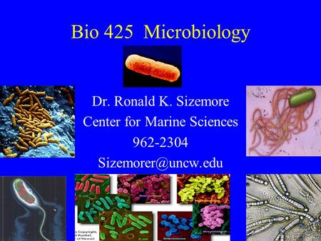 Bio 425 Microbiology Dr. Ronald K. Sizemore Center for Marine Sciences 962-2304