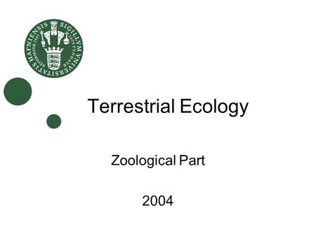 Terrestrial Ecology Zoological Part 2004. Who is who? Koos Boomsma Michael Poulsen Daniel Kronauer.