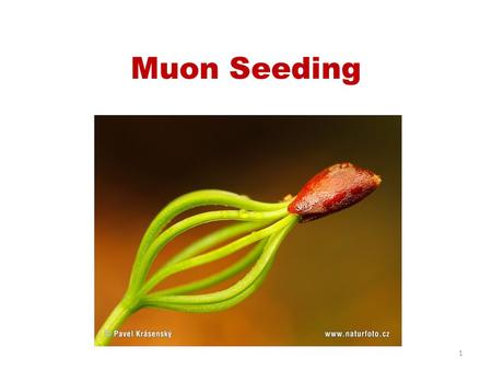 Muon Seeding 1. The Various Seeders Three general purpose seeders – ancientMuonSeed – MuonSeed – SET – Not just a seeder: can do its own fitting, too.
