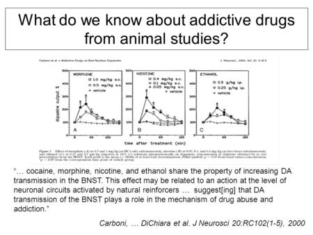Carboni, … DiChiara et al. J Neurosci 20:RC102(1-5), 2000 What do we know about addictive drugs from animal studies? “… cocaine, morphine, nicotine, and.