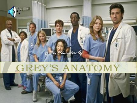 T h e C h a r a c t e r s O f Meredith Grey, brilliant surgeon intern, in love with Dr. Shepherd Derek Shepherd, also known as Dr. Dreamy, best neurosurgeon.