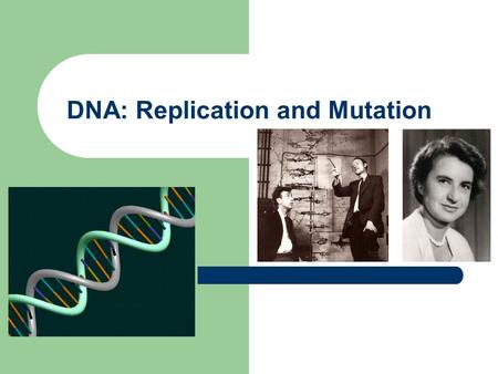 DNA: Replication and Mutation. What is DNA? DNA = deoxyribonucleic acid DNA is the “blueprint” for the cell  contains the instructions that tells the.