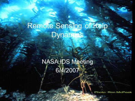 Remote Sensing of Kelp Dynamics NASA IDS Meeting 6/4/2007.