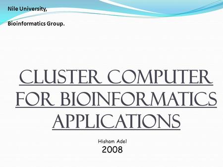Cluster Computer For Bioinformatics Applications Nile University, Bioinformatics Group. Hisham Adel 2008.