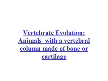 Vertebrate Evolution: Animals with a vertebral column made of bone or cartilage.