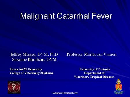 Malignant Catarrhal Fever