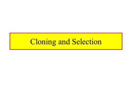 Cloning and Selection. Cloning Why Do We Need To Clone? –To Isolate Cells With Specialized Properties –Unspecialized Cells Tend To Dominate –Cells Of.