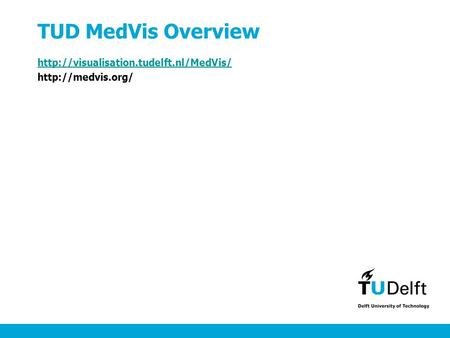 TUD MedVis Overview