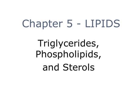 Triglycerides, Phospholipids, and Sterols